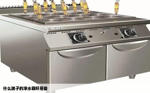 什么牌子的净水器好用些