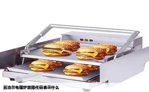 苏泊尔电磁炉故障代码表示什么