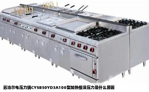 苏泊尔电压力锅CYSB50YD3A100型加热慢没压力是什么原因