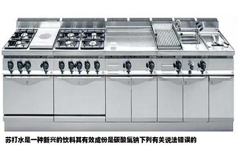 苏打水是一种新兴的饮料其有效成份是碳酸氢钠下列有关说法错误的