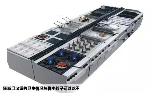 塔斯汀汉堡的卫生情况怎样小孩子可以吃不