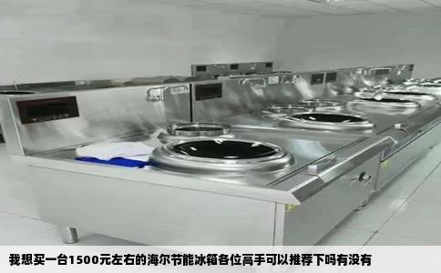 我想买一台1500元左右的海尔节能冰箱各位高手可以推荐下吗有没有