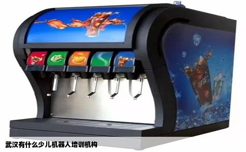 武汉有什么少儿机器人培训机构