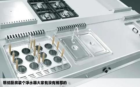 想给厨房装个净水器大家有没有推荐的