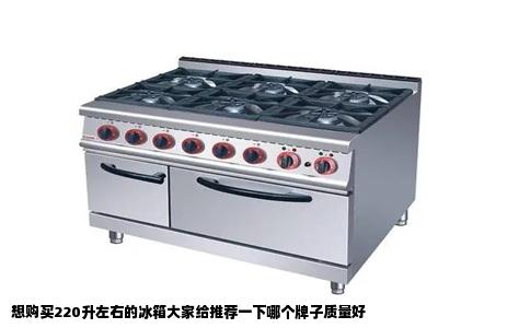 想购买220升左右的冰箱大家给推荐一下哪个牌子质量好