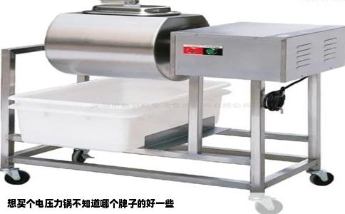 想买个电压力锅不知道哪个牌子的好一些