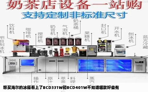想买海尔的冰箱看上了BCD331W和BCD401W不知道哪款好些有