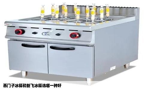 西门子冰箱和新飞冰箱选哪一种好