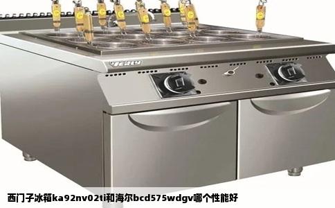 西门子冰箱ka92nv02ti和海尔bcd575wdgv哪个性能好