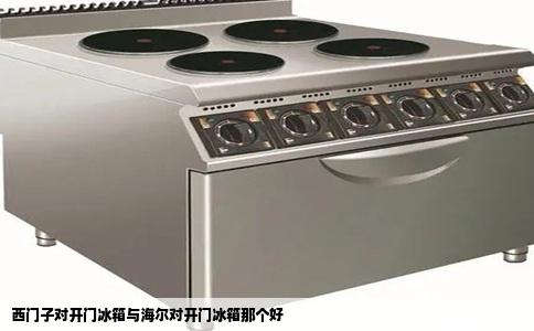 西门子对开门冰箱与海尔对开门冰箱那个好