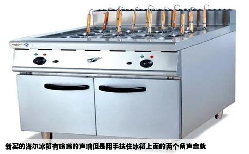 新买的海尔冰箱有嗡嗡的声响但是用手扶住冰箱上面的两个角声音就