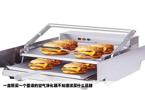 一直想买一个靠谱的空气净化器不知道该买什么品牌