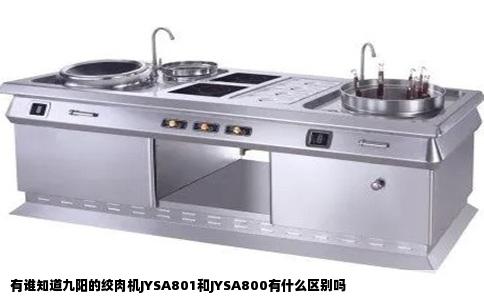 有谁知道九阳的绞肉机JYSA801和JYSA800有什么区别吗
