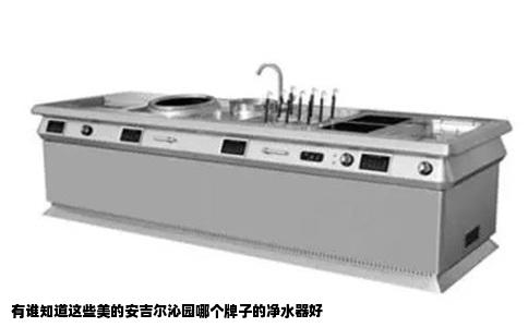 有谁知道这些美的安吉尔沁园哪个牌子的净水器好