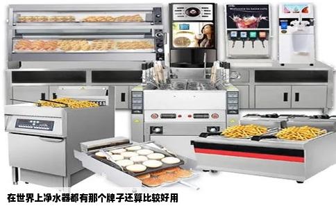 在世界上净水器都有那个牌子还算比较好用