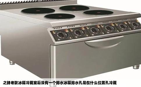 之牌老款冰箱冷藏室后没有一个排水冰箱排水孔是在什么位置孔冷藏