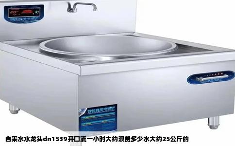 自来水水龙头dn1539开口流一小时大约浪费多少水大约25公斤的